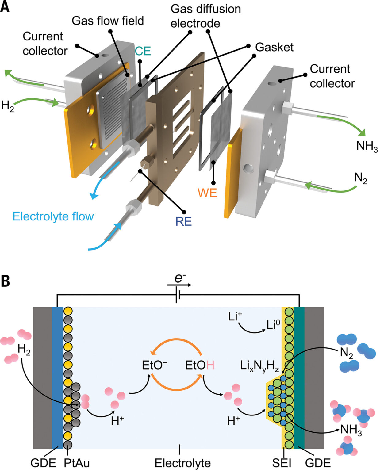 Protons from H2 for Ammonia Synthesis: A Promising Electrochemical ...